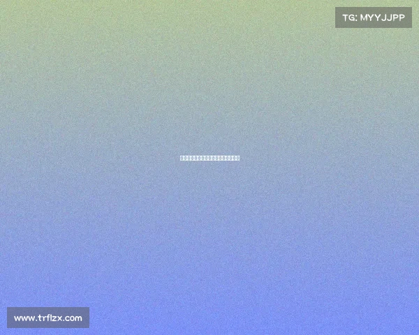 道友电子竞技有限公司、道友啥意思？